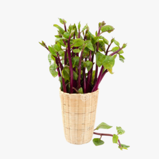 Malabar Spinach