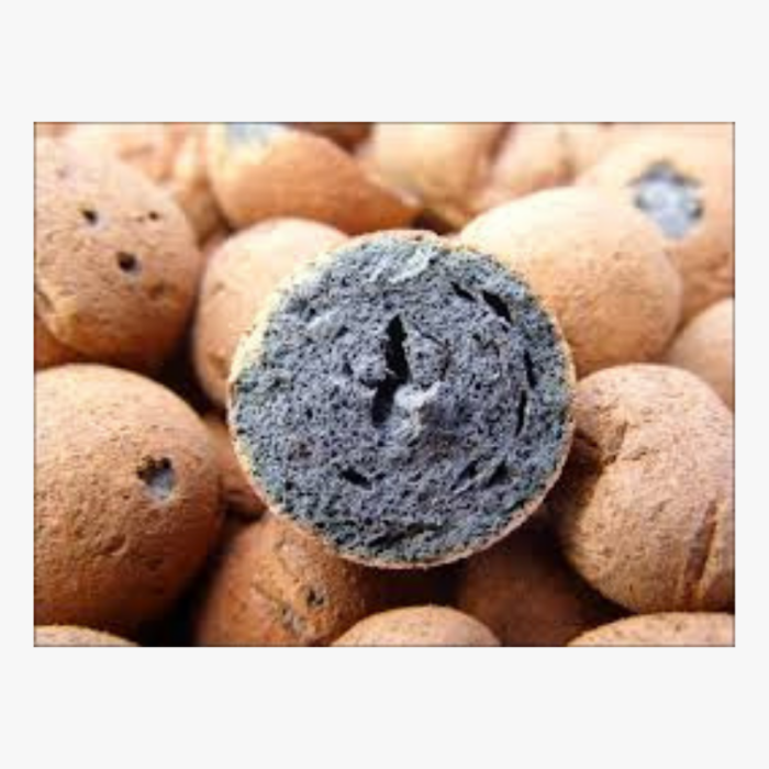 Clay Pebbles Hydro Hydro Single Hydroponic Substrate Expended Clay Pebbles 1