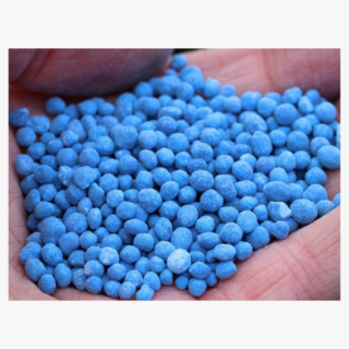 Fertilizer Compo Expert Blaukorn 1