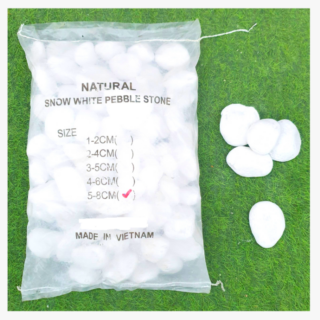 Pebble Stone Natural Snow White Pebble Stone 8 1