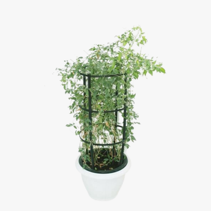 Plastic Hedge Plastic Covered Plant Support Cages Vine Trellis Support Support Round Sticks 1 1