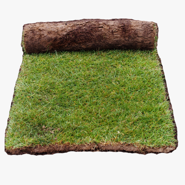 Natural Grass Carpet