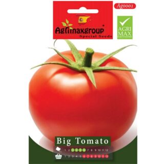 Big Tomato Seeds