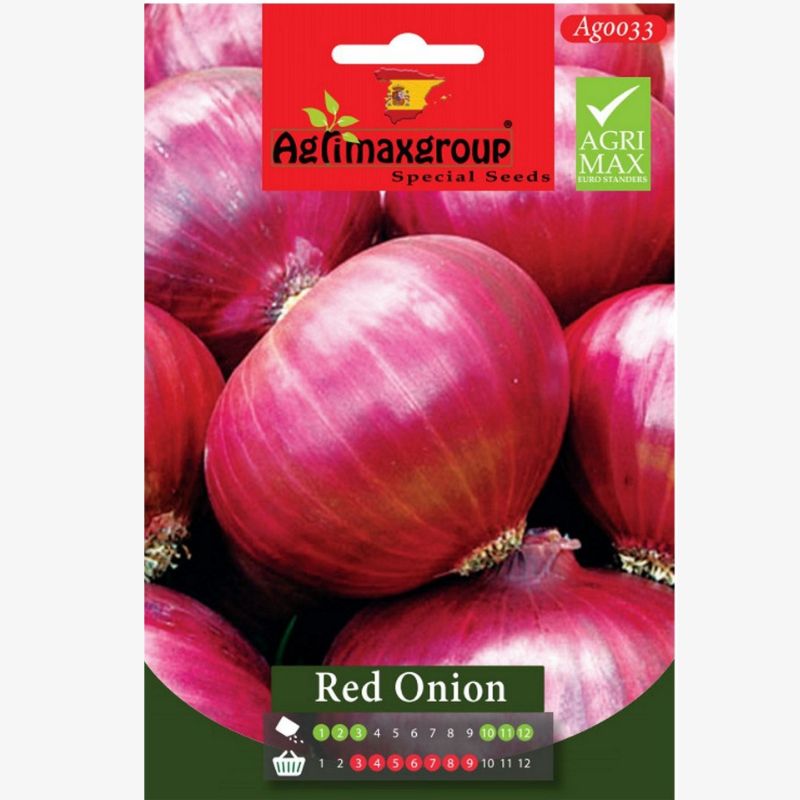 Red Onion Seed