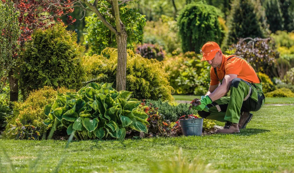 Landscaping Service Providers